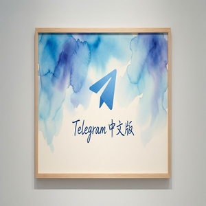 纸飞机中文版用虚拟号码注册的方法与风险提示（保姆级教程） - Telegram 官网